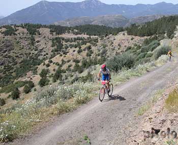 Villacidro - 0305-mtb