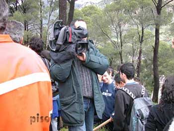 Villacidro - 2004 Anno della pineta