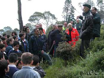 Villacidro - 2004 Anno della pineta