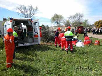 Villacidro - 2004 Anno della pineta