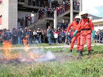 Villacidro - 2004 Anno della pineta