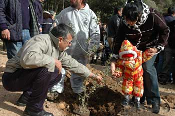 Villacidro - Un albero per ogni nato