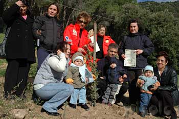 Villacidro - Un albero per ogni nato