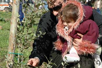 Villacidro - Un albero per ogni nato