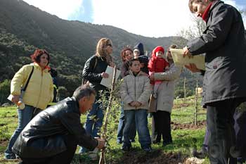 Villacidro - Un albero per ogni nato