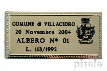 Villacidro - Un albero per ogni nato