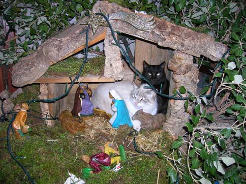 Presepi 2007 a Villacidro