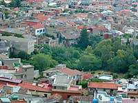 Su codhu de su samucu