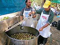 Costumi villacidresi