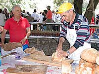 Costumi villacidresi