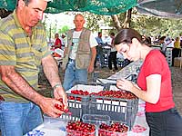 Costumi villacidresi