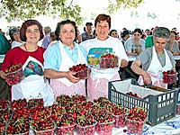 Costumi villacidresi