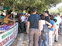 Costumi villacidresi